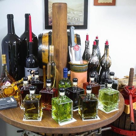 Healthy House Glamping Hotel Koper városi község Kültér fotó