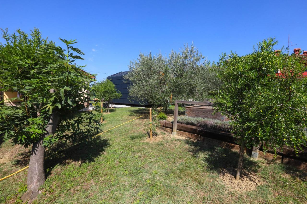 Healthy House Glamping Hotel Koper városi község Kültér fotó