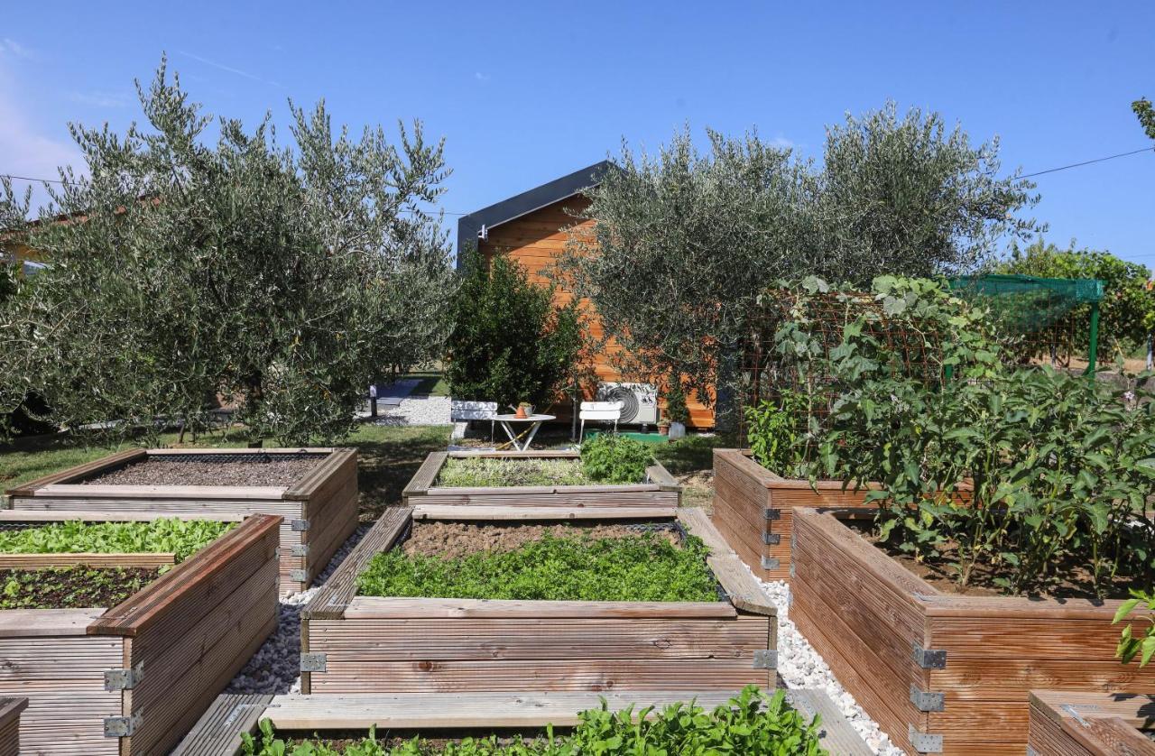 Healthy House Glamping Hotel Koper városi község Kültér fotó