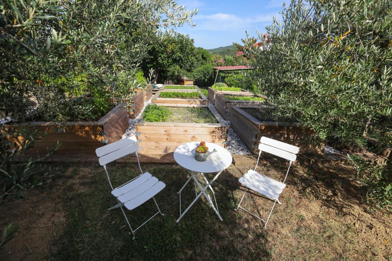 Healthy House Glamping Hotel Koper városi község Kültér fotó