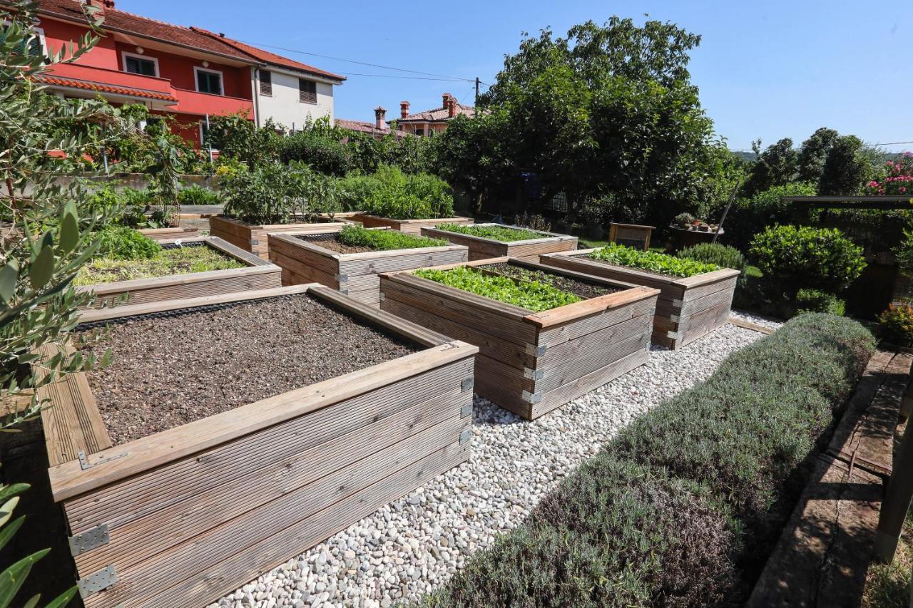 Healthy House Glamping Hotel Koper városi község Kültér fotó